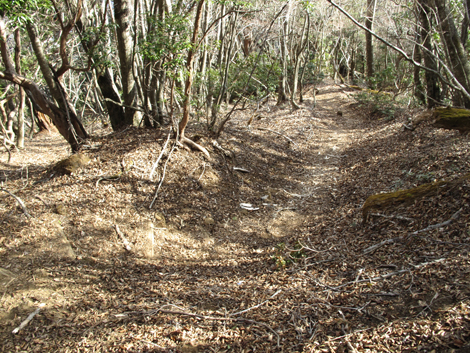 20190108hike (406)